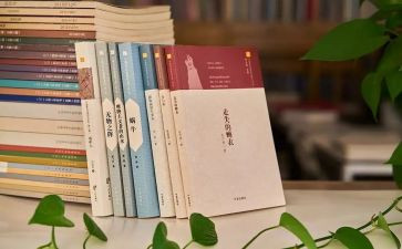借款暨担保合同参考6篇