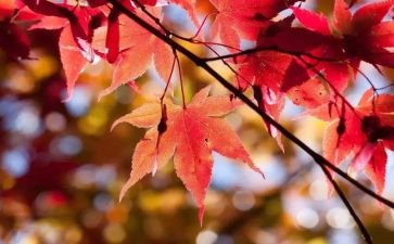 10月工作计划8篇