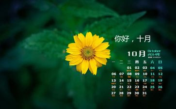 10月份幼儿教师工作总结5篇