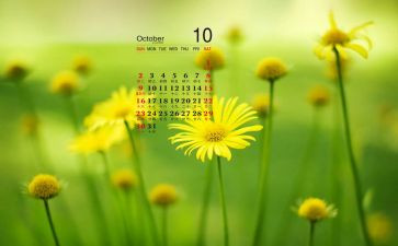 2024年10月份工作总结通用8篇