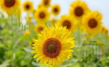10月工作计划模板7篇