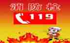 119宣传演讲稿推荐5篇