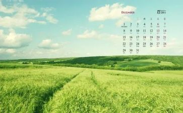 12月党日活动心得体会7篇