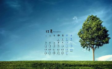 12月小班工作总结7篇