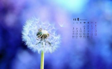 12月底工作总结模板6篇