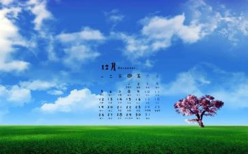 站办公室12月工作总结7篇