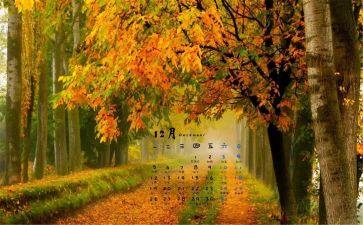 销售12月工作总结5篇