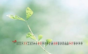 大班12月工作计划5篇