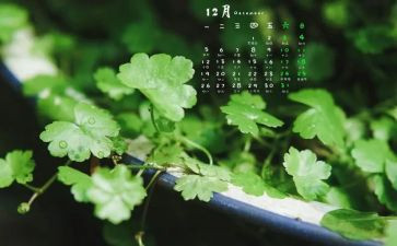 幼儿小班12月工作总结5篇