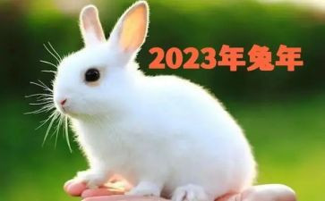 2023广州作文6篇