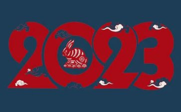 2023医院卫生应急工作计划5篇