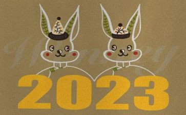 2023年卫生工作年终总结优质5篇