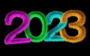 2023暑假社会调研报告6篇