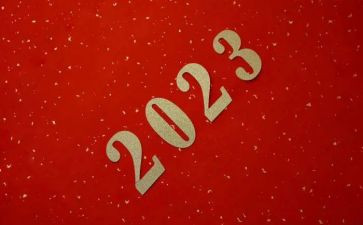 《我的2023》作文6篇