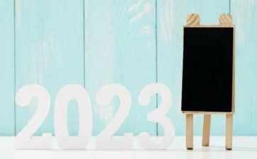 2023年度爱国卫生工作总结5篇
