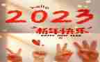 2023房产销售述职报告模板8篇