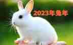 我的2023作文500字6篇