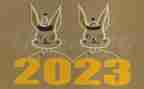 述职报告2023年上半年述职报告5篇