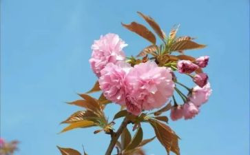 2月幼儿活动总结优秀5篇