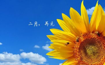 2月工作总结范文8篇