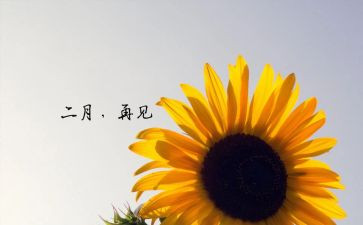 2月幼儿活动总结通用8篇