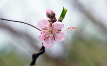 2月份销售月总结范文7篇