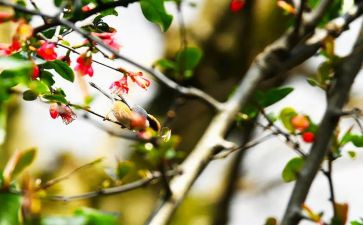 2月份的工作计划5篇