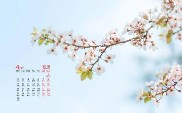 4月学校安全工作总结优质6篇