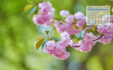 小班4月工作总结6篇