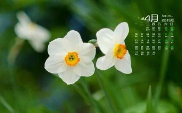 幼儿园中班4月份班级工作总结6篇