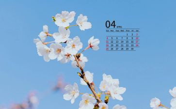 财务4月工作总结6篇