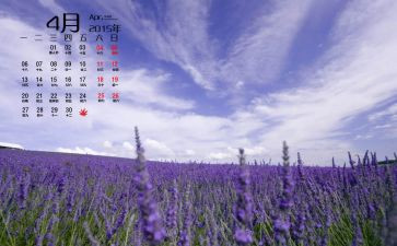 中班月计划4月份月计划5篇