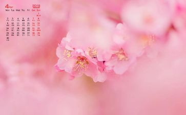 小班4月份周工作计划5篇