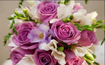 超市520活动方案精选5篇