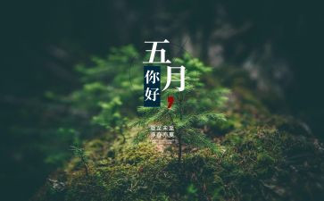 5月份党日活动方案5篇
