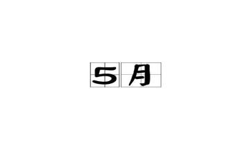 5月份财务工作总结8篇