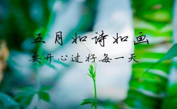 教师5月份工作计划5篇