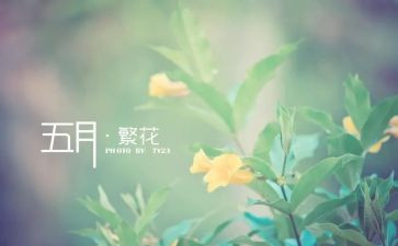 5月4日心得体会5篇
