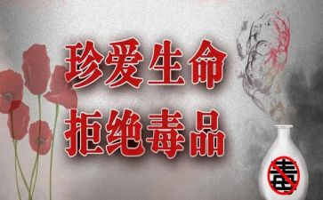 626禁毒工作总结模板8篇