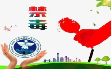 乡镇626宣传活动总结6篇