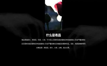 社区626禁毒宣传活动方案8篇