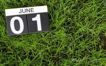 6月活动总结7篇