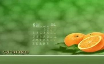 6月活动总结精选8篇