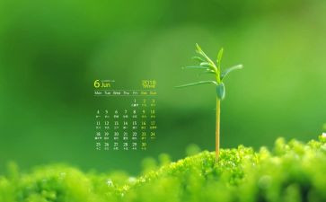 6月活动总结优秀5篇