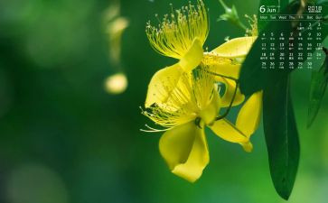 6月活动总结最新5篇