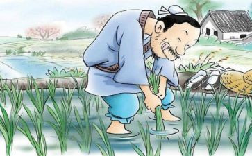 《拔苗助长》读后感精选8篇