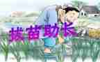 《拔苗助长》读后感5篇