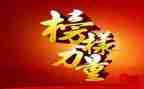 观看学习的榜样心得体会5篇