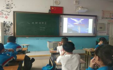 生命教育班会课教案6篇
