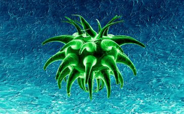 高中生物教师学期工作计划6篇